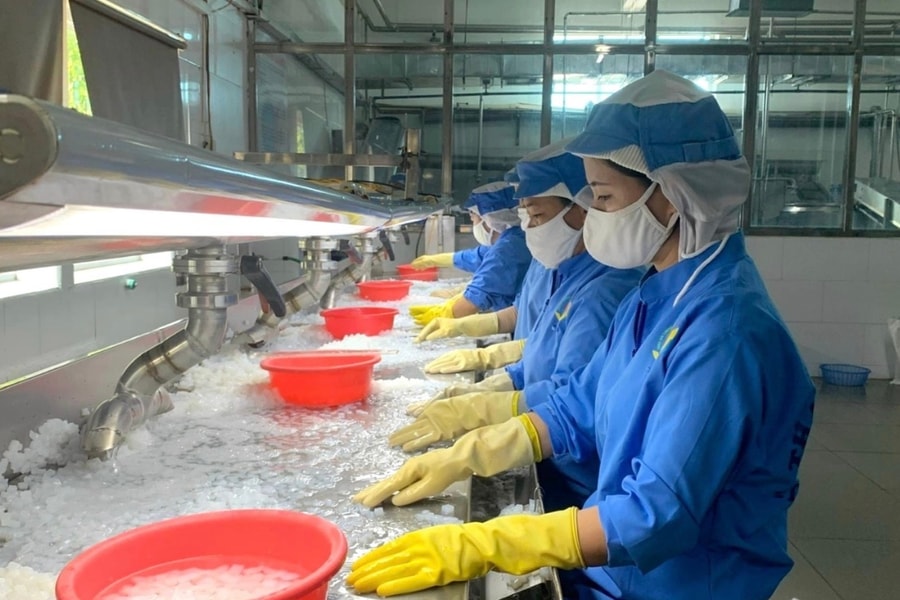 Hai Phong’s export turnover up 26.2%