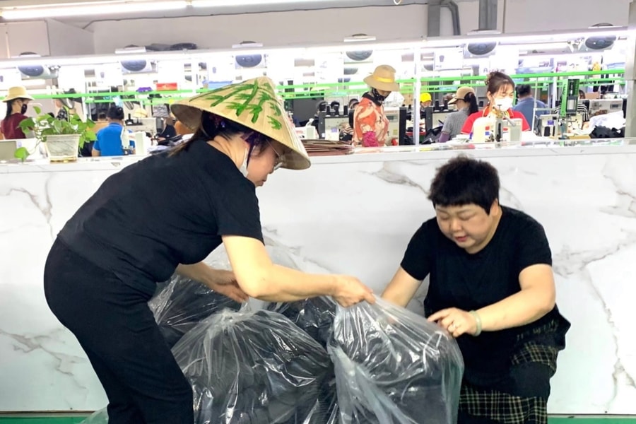 Hai Phong needs more suitable mechanisms to attract international human resources