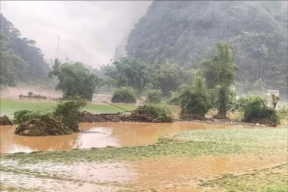 Mưa lớn, dông lốc tại nhiều địa phương gây thiệt hại ước hơn 10 tỷ đồng
