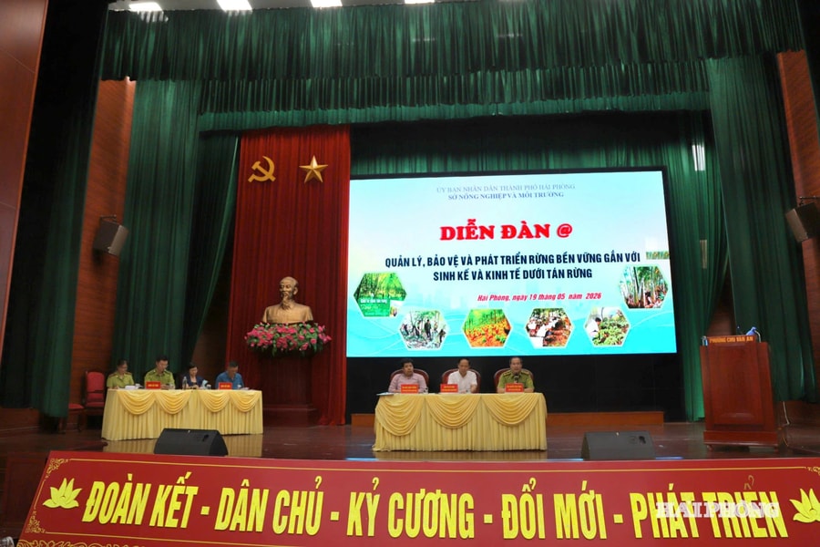 Phát triển rừng bền vững gắn với sinh kế và kinh tế dưới tán rừng
