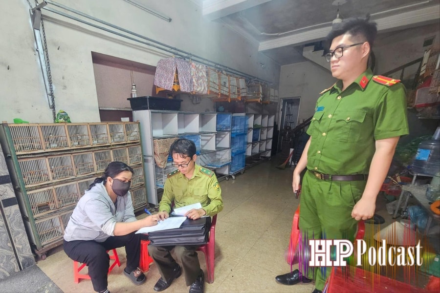 Bản tin 5 phút an ninh trật tự ngày 19/5/2026
