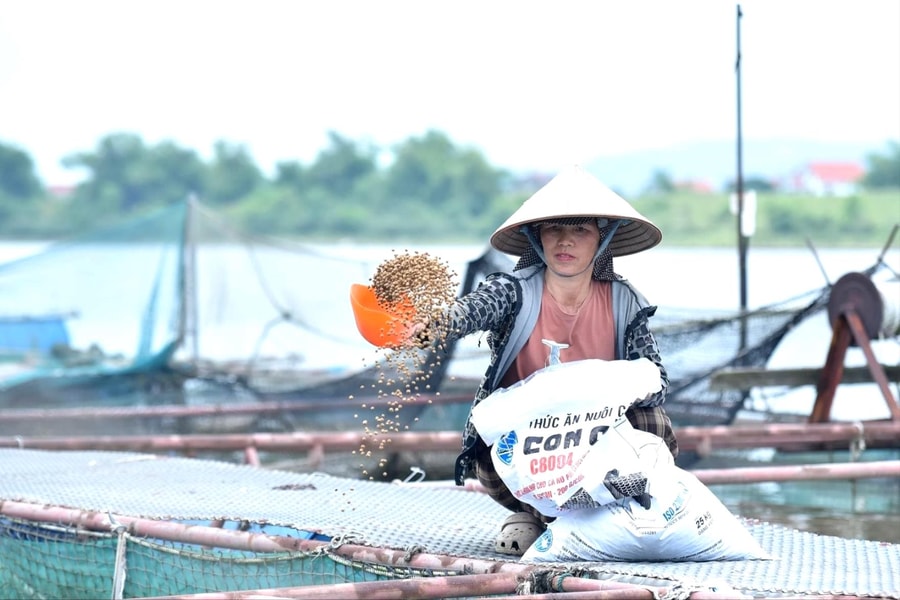 Khơi thông dòng vốn cho hợp tác xã