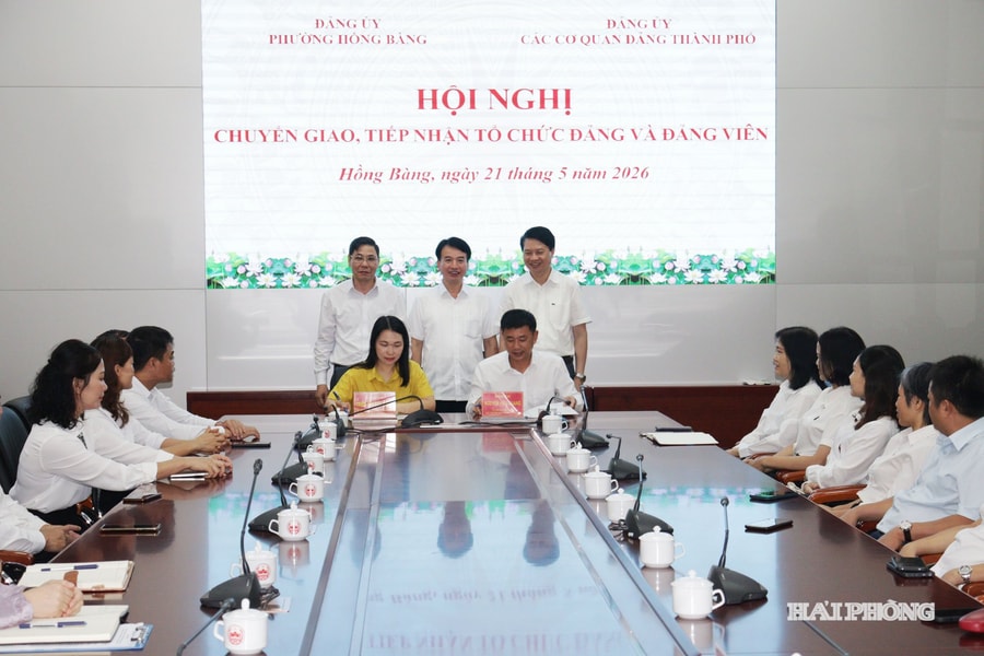 Quy định về tổ chức bộ máy của Đảng ủy các cơ quan đảng, Đảng ủy UBND cấp tỉnh