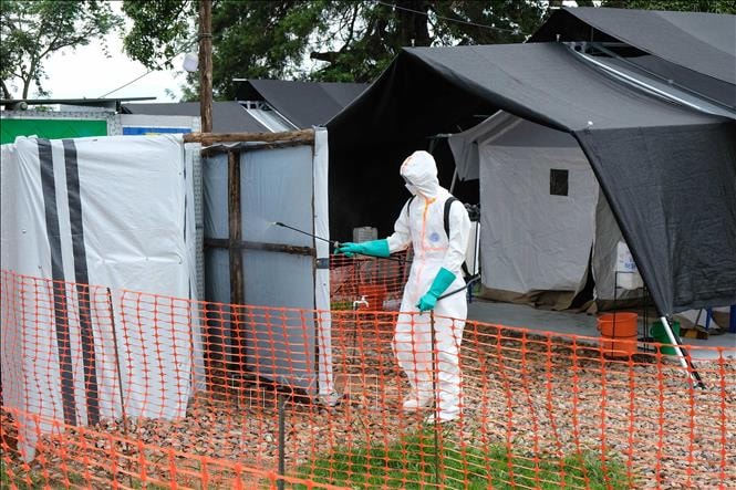 Trên 200 ca tử vong ở Congo do nhiễm virus Ebola
