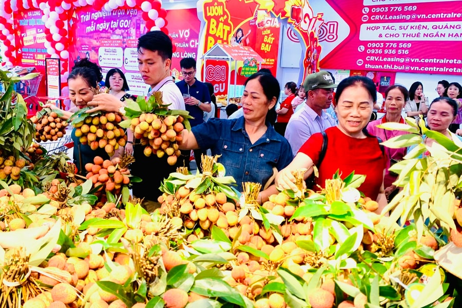 Vải thiều Thanh Hà lên kệ hệ thống Siêu thị GO! Việt Nam
