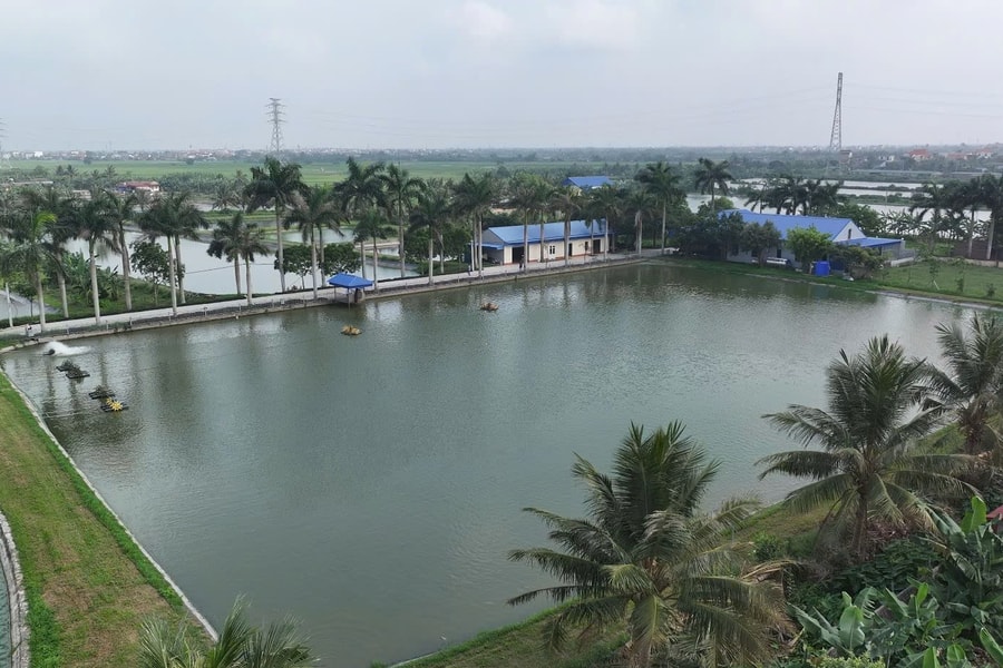 Hải Phòng xác định các vùng nguy hiểm trong mùa mưa bão