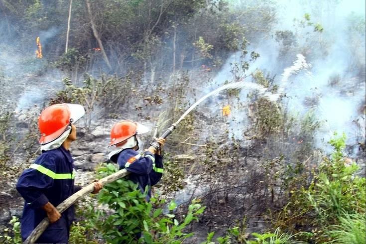 Cháy rừng dữ dội tại Quảng Trị, hàng trăm người nỗ lực dập lửa