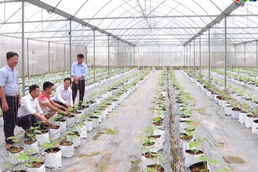 Công nghệ mở đường cho nông nghiệp xanh