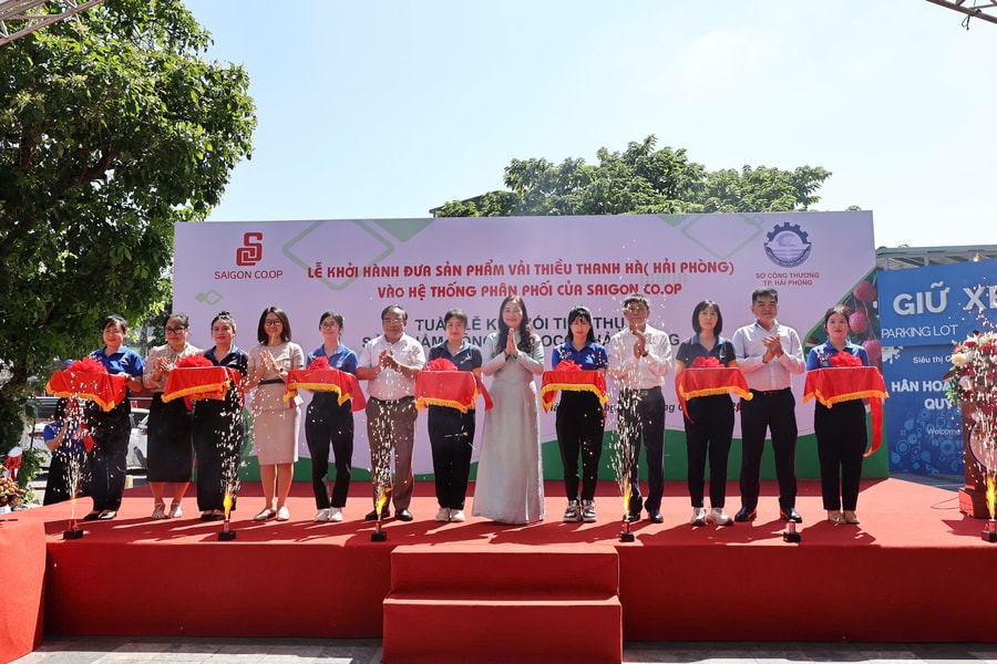 Saigon Co.op đưa 300 tấn vải Thanh Hà vào hệ thống phân phối toàn quốc