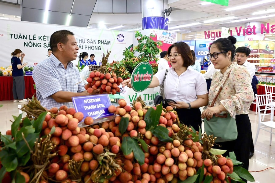 Tổng mức bán lẻ hàng hóa và doanh thu dịch vụ 5 tháng ở Hải Phòng tăng 15,3%
