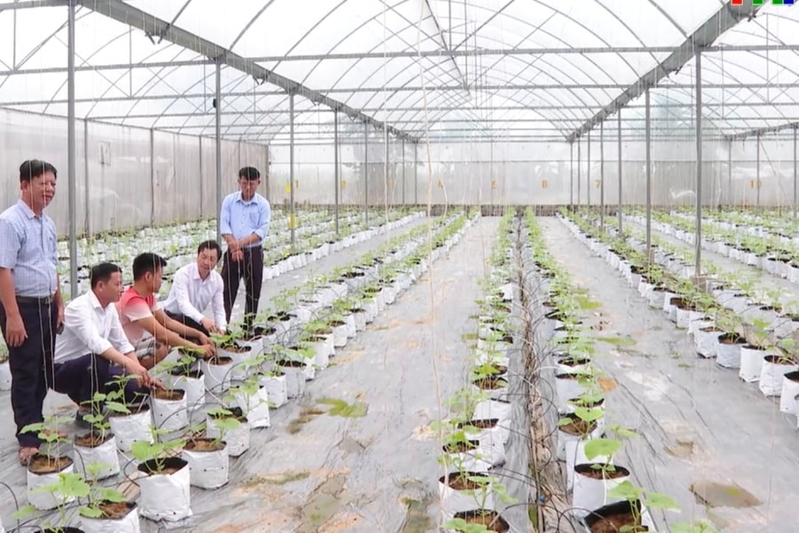 Chuyển đổi xanh tạo động lực tăng trưởng mới cho thành phố Cảng
