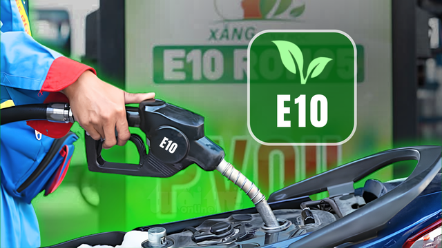 Cách kiểm tra xem xe có phù hợp với xăng E10 hay không