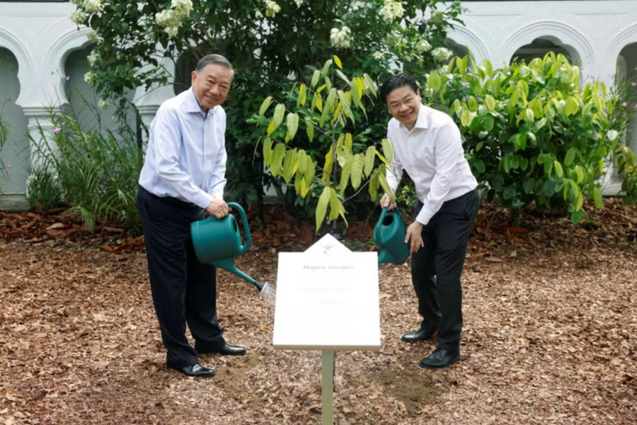 Tổng Bí thư, Chủ tịch nước Tô Lâm trồng cây tại Vườn Bách thảo Singapore