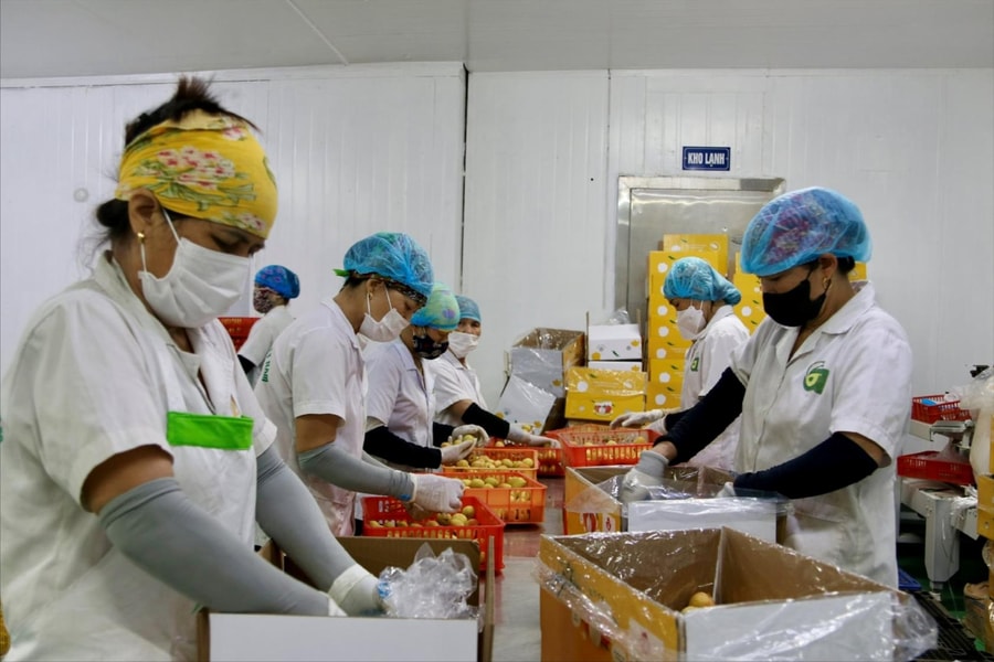 Nâng cao tuân thủ tiêu chuẩn quốc tế về minh bạch và trao đổi thông tin thuế