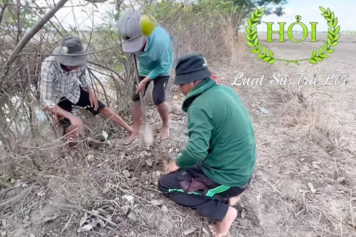 Tự ý đào đê bắt chuột có thể bị phạt tới 100 triệu đồng