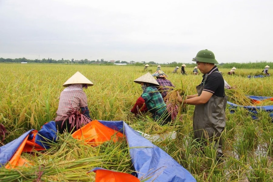 Mô hình kinh tế xanh ở Nghi Dương
