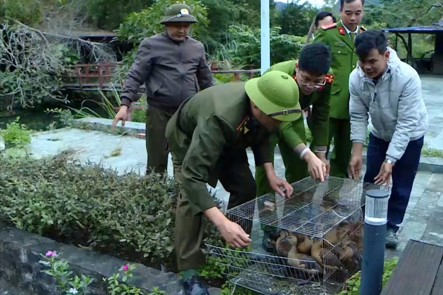 Ngăn chặn hành vi săn bắt, buôn bán động vật hoang dã