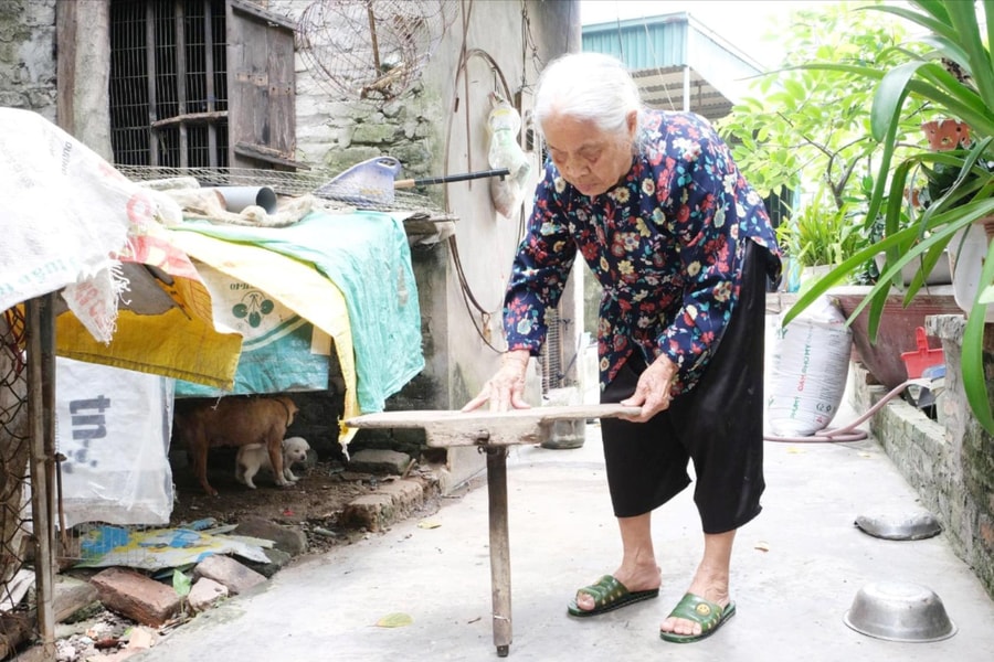 'Từ điển sống' về gốm cổ làng Quao