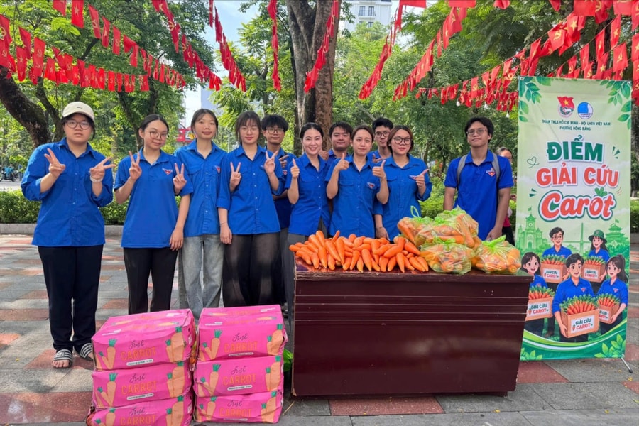 Tuổi trẻ Hải Phòng chung tay hỗ trợ tiêu thụ hơn 32 tấn cà rốt