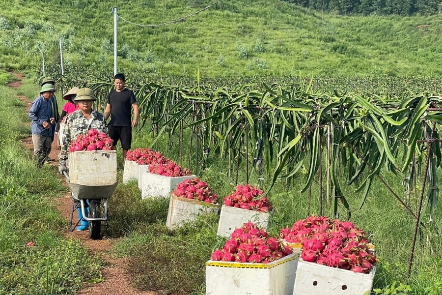 Enhancing the value of agricultural products