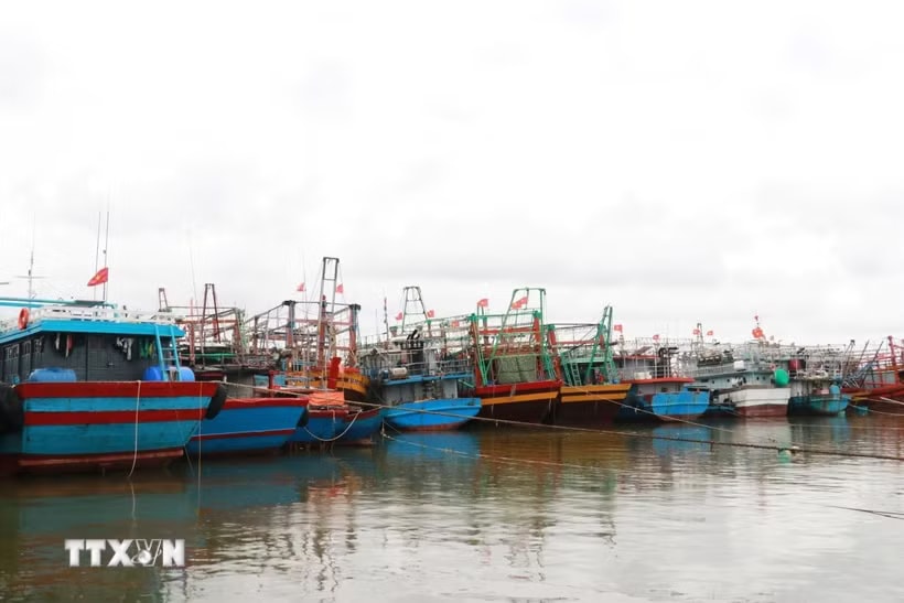 Đề nghị 15 tỉnh, thành phố ven biển ứng phó vùng áp thấp trên biển