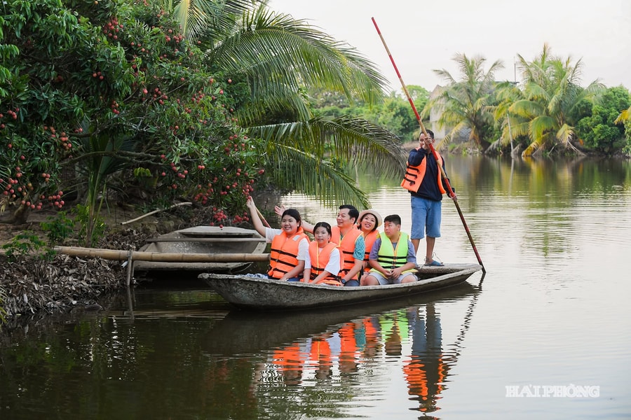 Du lịch xanh ở Đồng Mẩn (Thanh Hà) mùa vải chín