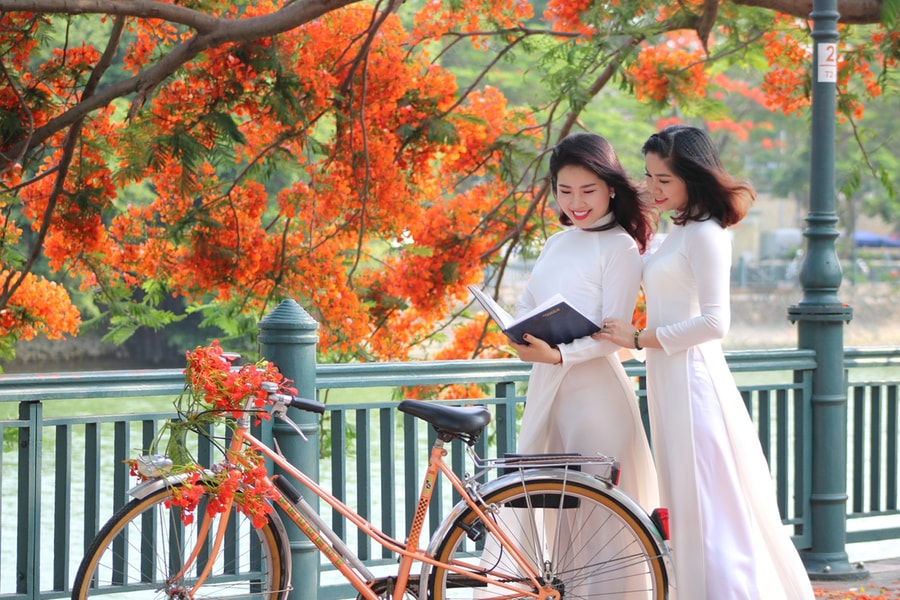 Mùa thi không tuổi