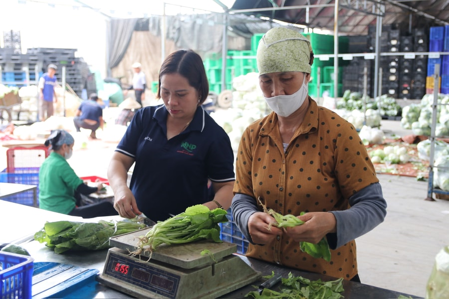 Liên kết xây dựng vùng nguyên liệu nông sản
