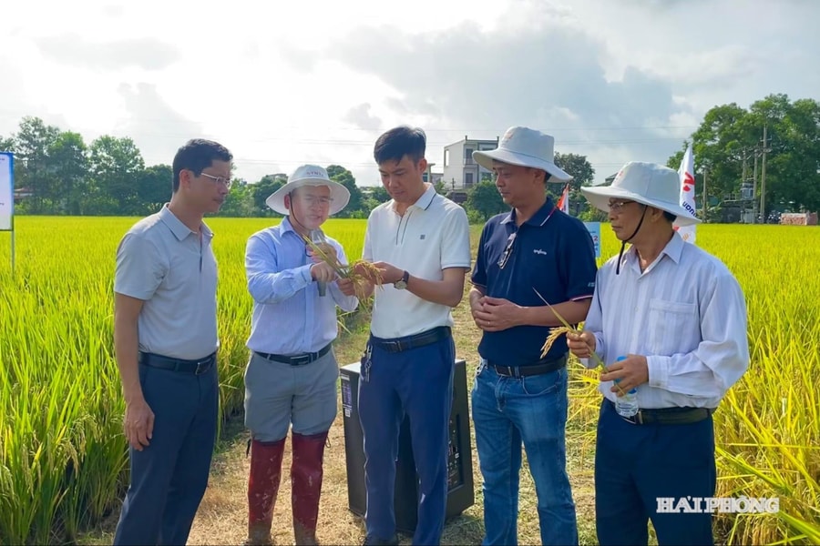 Cắt giảm, đơn giản hóa điều kiện kinh doanh thuộc lĩnh vực nông nghiệp và môi trường