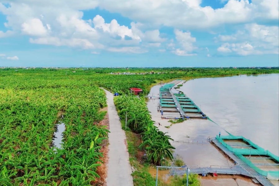 Thích ứng linh hoạt trước áp lực xâm nhập mặn