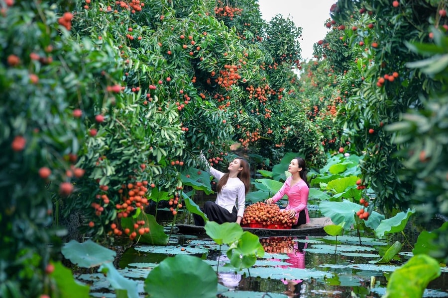 Về thăm miền đất ngọt lành
