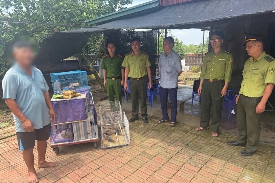 Phạt 3 triệu đồng người nuôi nhốt 46 cá thể chim hoang dã