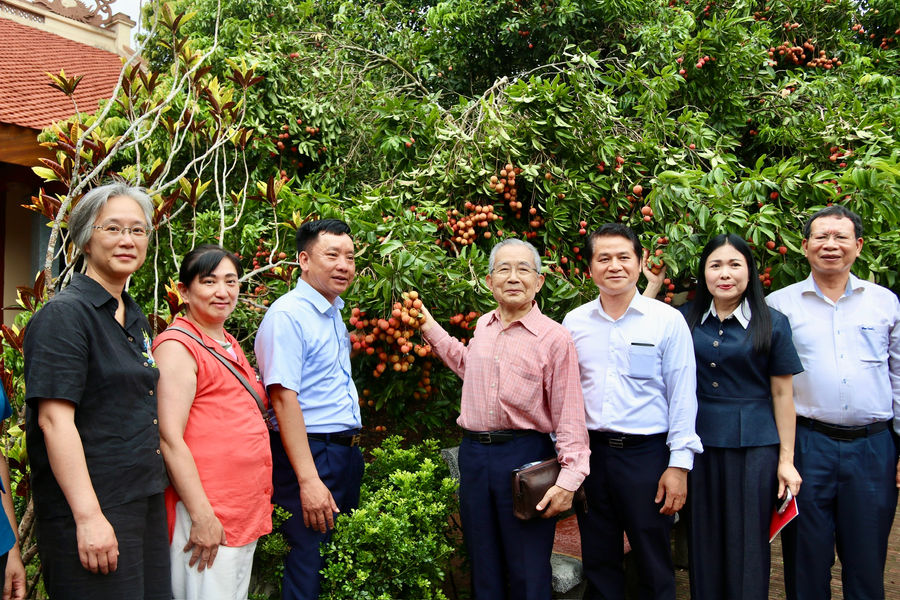 Đoàn doanh nghiệp, tổ chức và đại diện địa phương của Nhật Bản khảo sát vùng trồng vải Hải Phòng