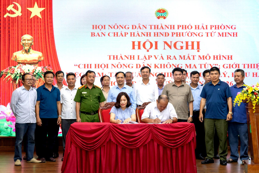 Tứ Minh ra mắt mô hình 'Chi hội Nông dân không ma túy'