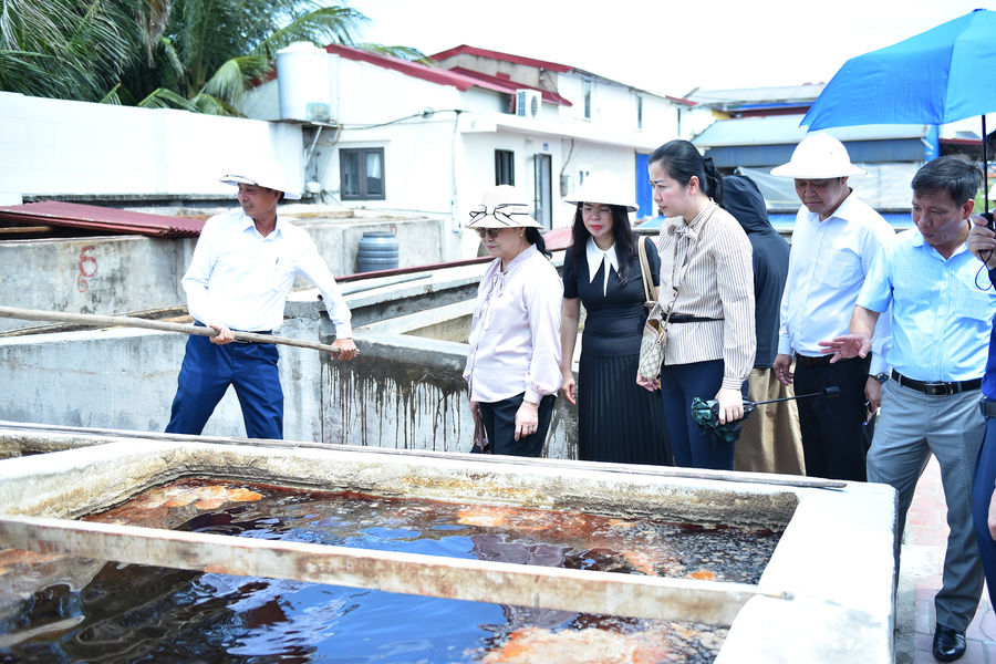 Hai Phong, Lao cooperatives explore closer cooperation