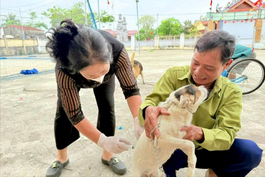 Mức xử phạt vi phạm quy định về phòng, chữa bệnh động vật