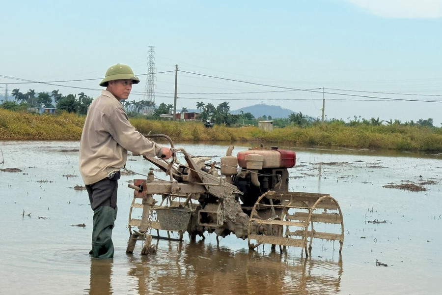 Lão nông ở Hải Phòng thu 300 triệu đồng mỗi năm từ lúa - cá