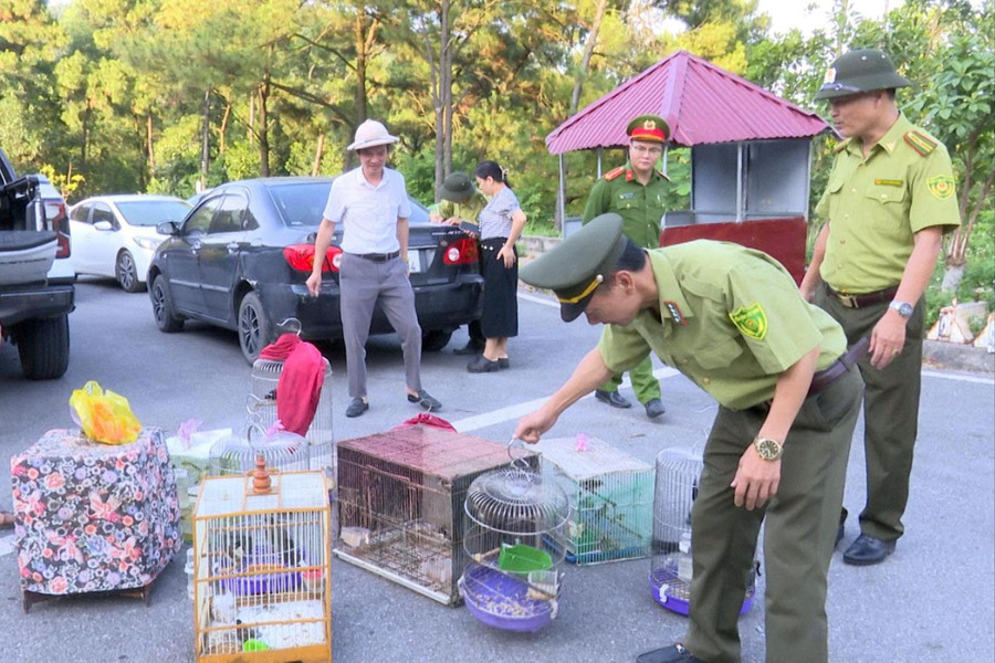 Phối hợp bảo vệ động vật hoang dã tại Hải Phòng