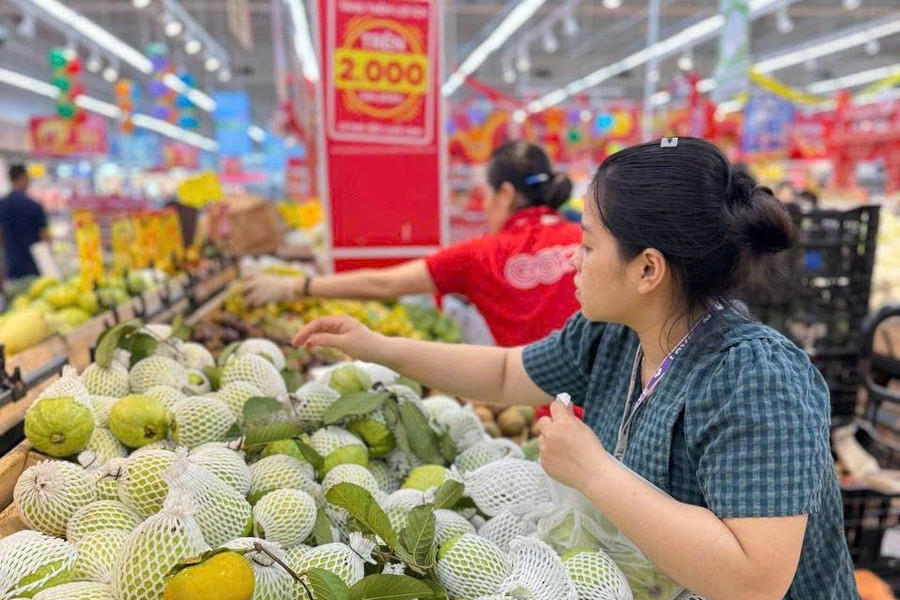 Nguyên tắc, tiêu chí phân chia thuế giá trị gia tăng cho từng địa phương