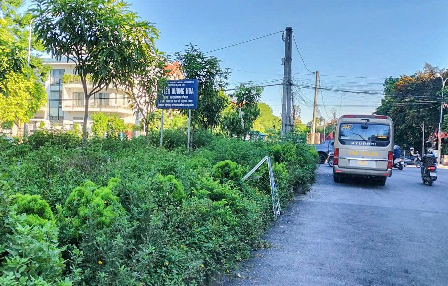Một tuyến đường hoa ở phường Hải An bị xuống cấp