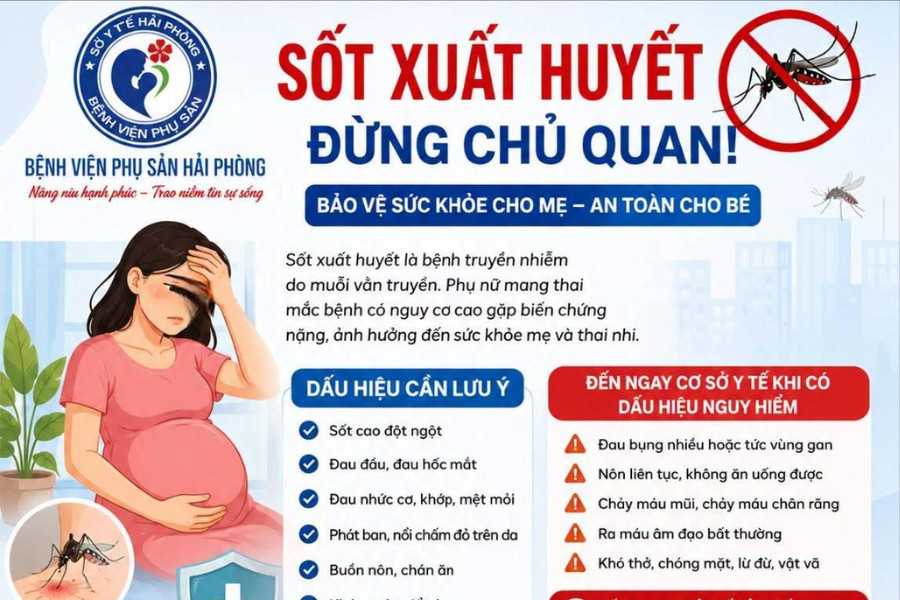 Nguy cơ biến chứng sốt xuất huyết ở phụ nữ mang thai