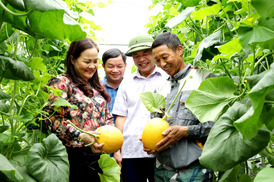 Nhà màng, nhà lưới mở lối làm giàu cho nông dân
