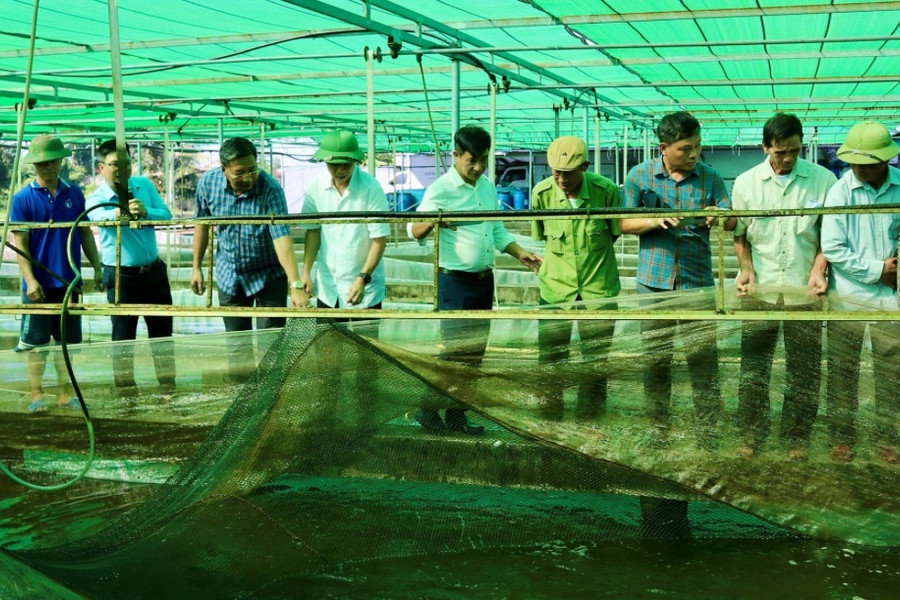 Hai Phong proactively adapts and boosts value of fisheries sector