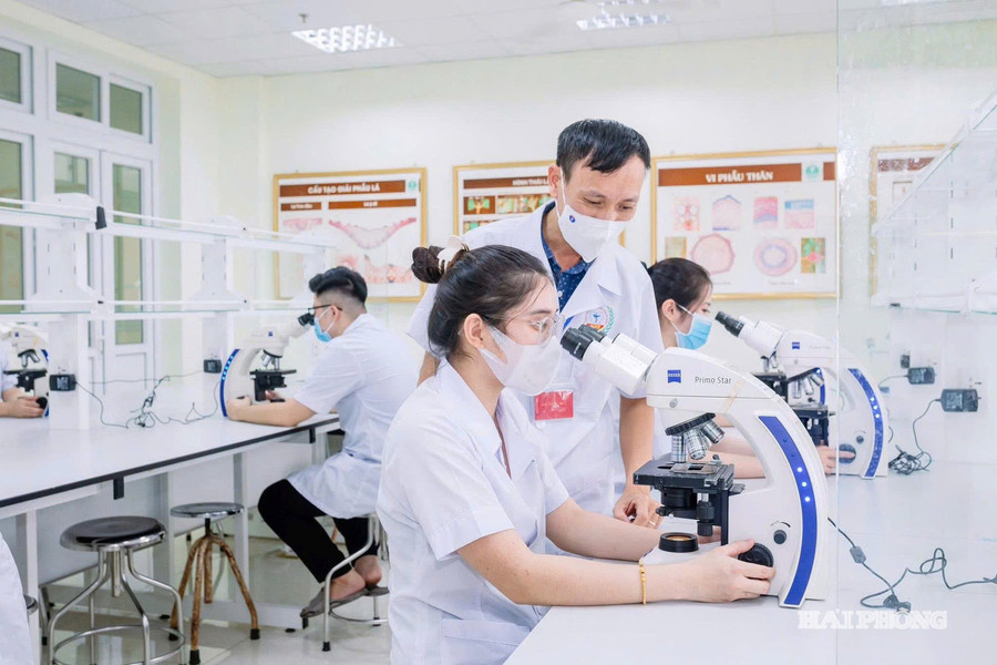 Các ngành kỹ thuật then chốt và công nghệ chiến lược nào được cấp học bổng?