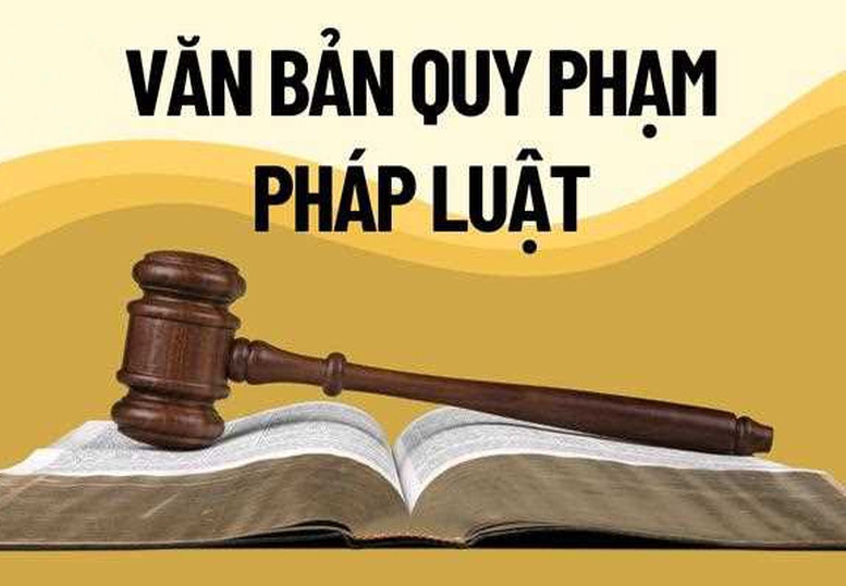 Xử lý dứt điểm tình trạng chậm ban hành văn bản quy định chi tiết