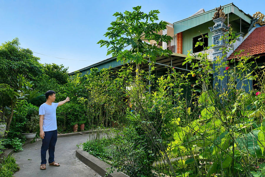 Vướng nguồn gốc đất, chậm cấp 'sổ đỏ' cho hộ ông Nguyễn Quang Hiền