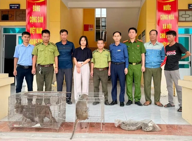 Tiếp nhận 3 cá thể động vật hoang dã do người dân ở xã Nam An Phụ tự nguyện giao nộp