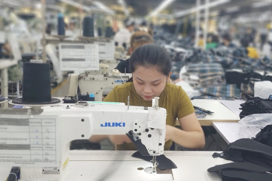 Hai Phong supports businesses using FTAs