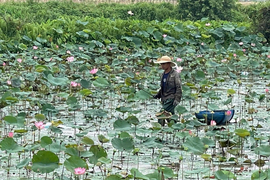 Khơi dậy khát vọng khởi nghiệp trong thanh niên