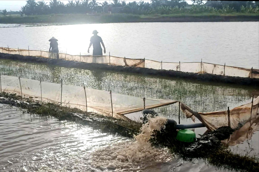 Chủ động ứng phó, giữ vững sản xuất trước mưa bão